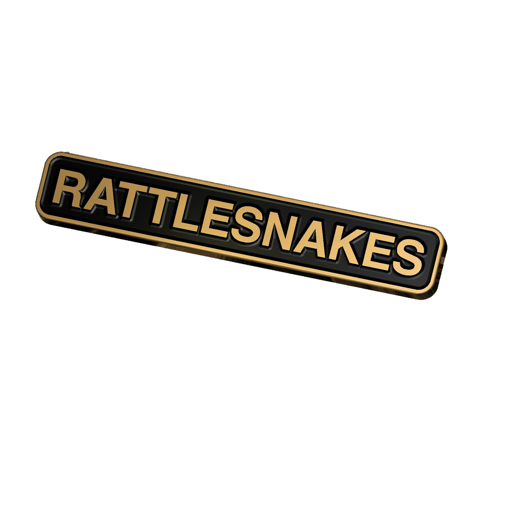 Enamel Badge